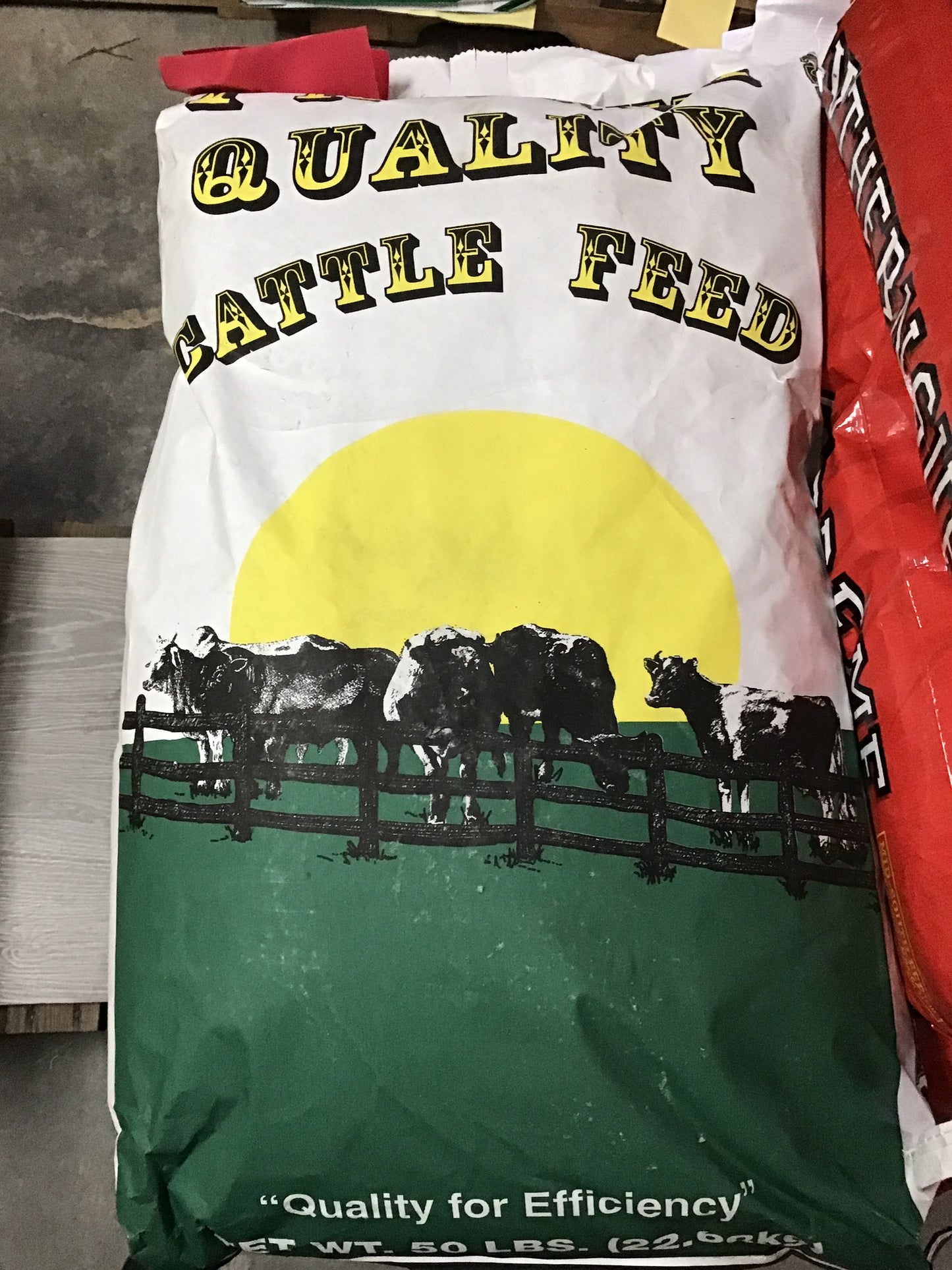 MS 12% Steer Feed