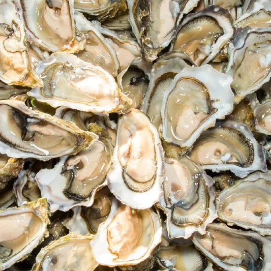 Raw oysters - WASH BOX