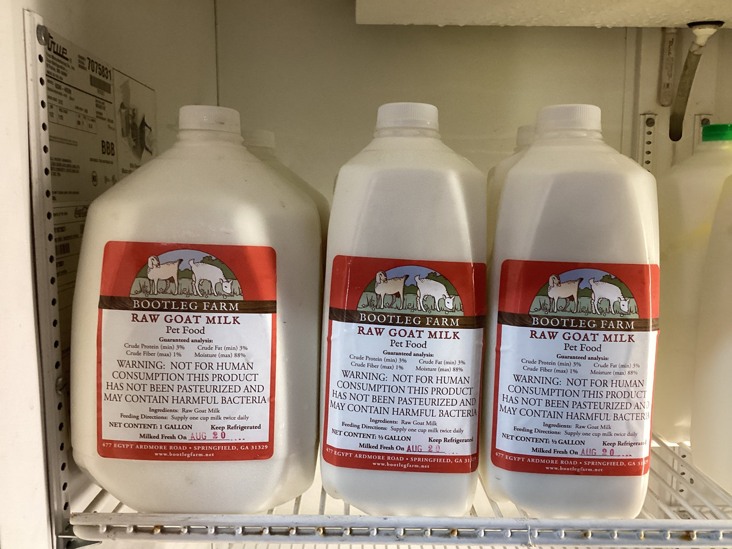 Goat Milk