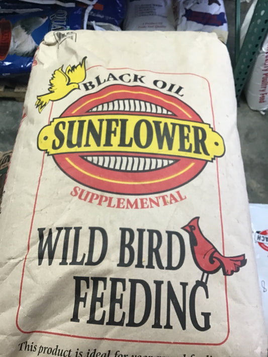 Black Oil Sunflower seeds