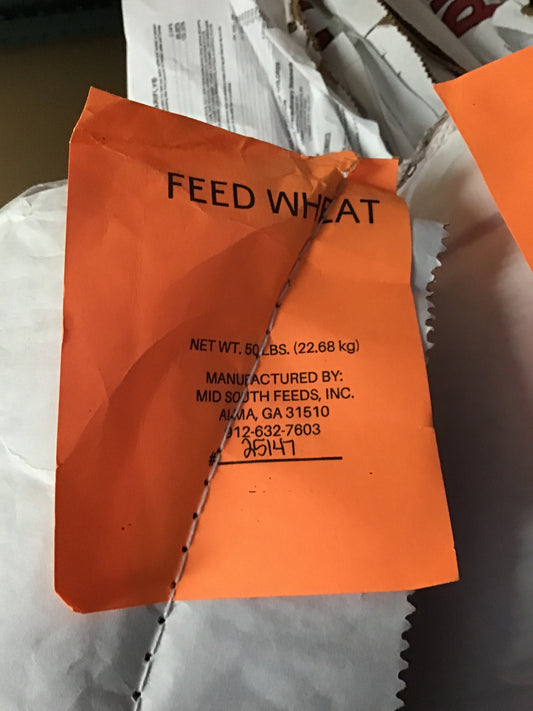 MS Feed Wheat