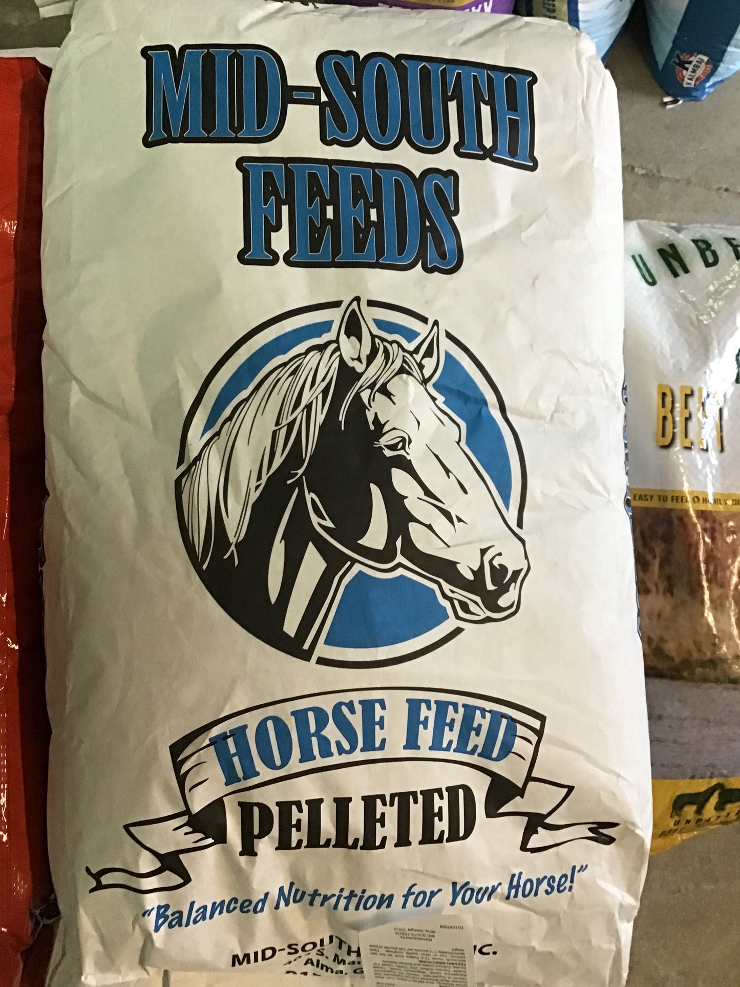 MS Horse 12-4
