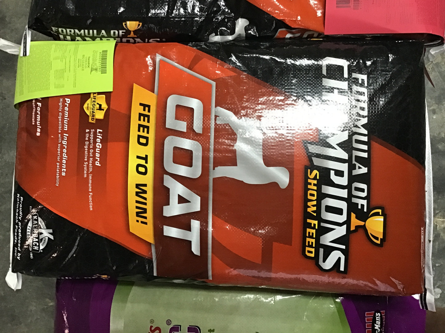 Formula of champions big league