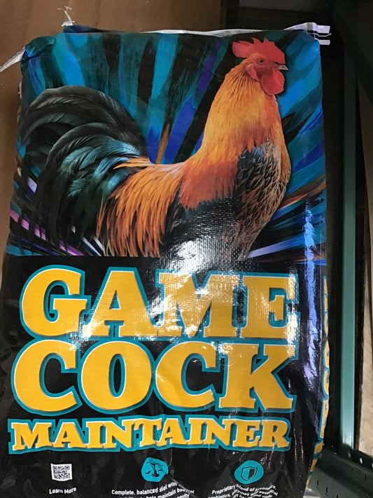 KB 14% Gametime Gamecock Maintenance