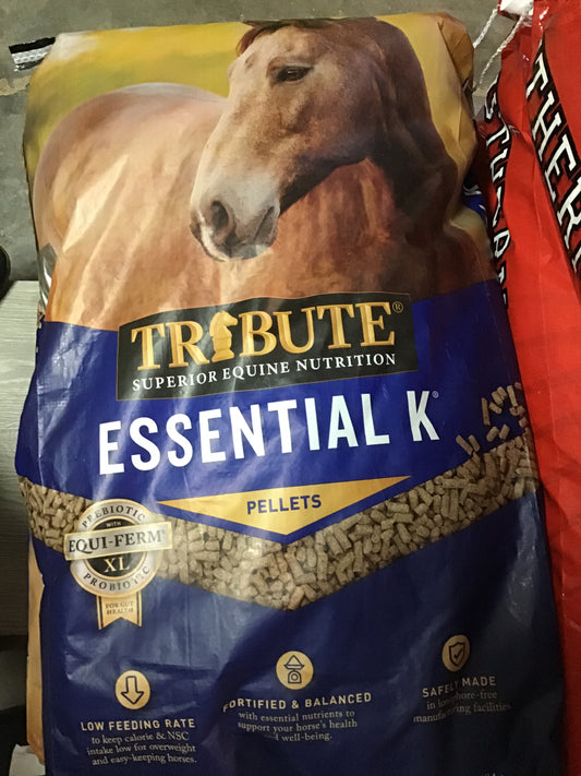 Tribute Essential K