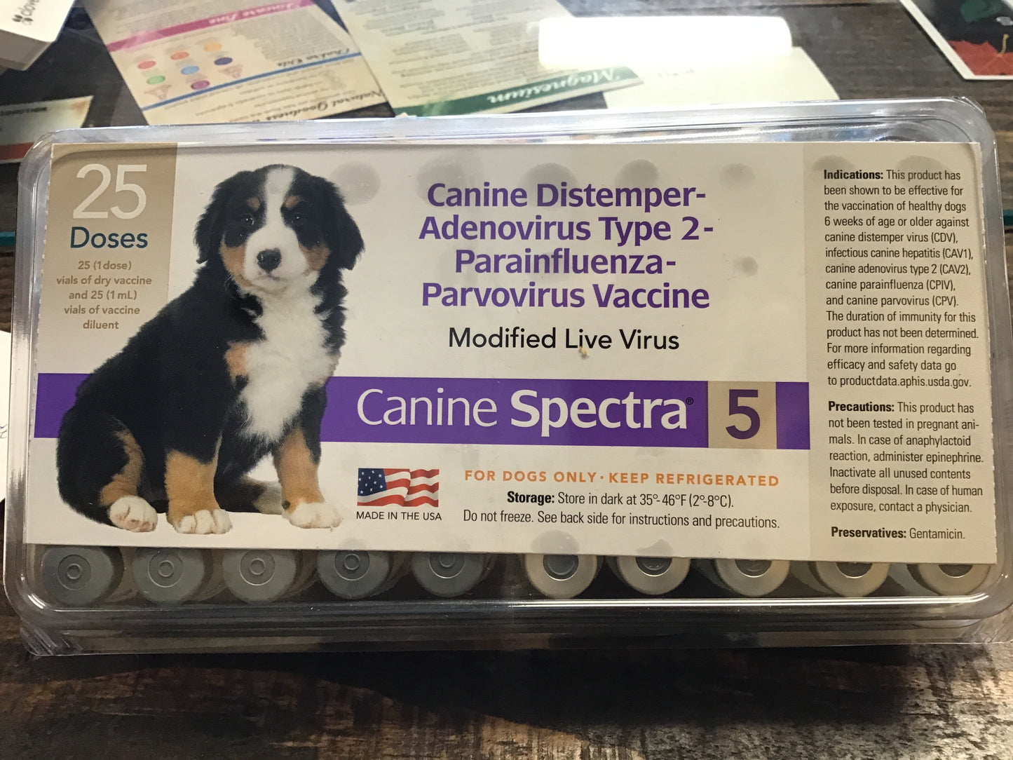 Canine specta 5