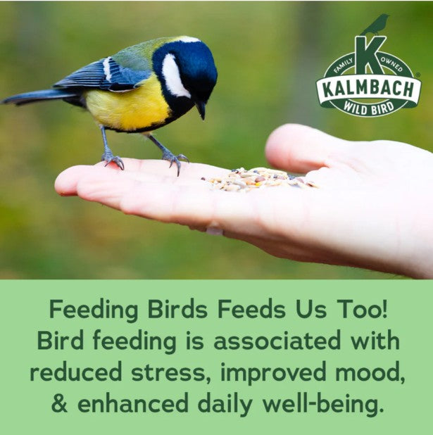 Everyday Essentials™ wild bird feed