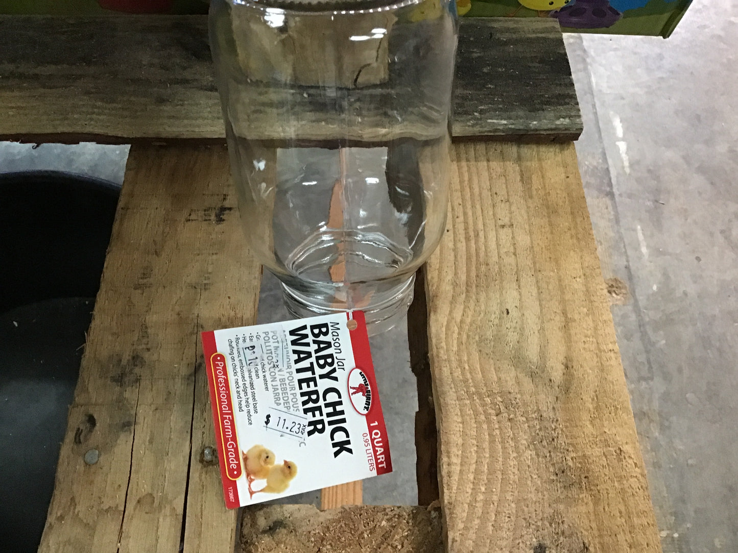 Mason jar baby chick waterer