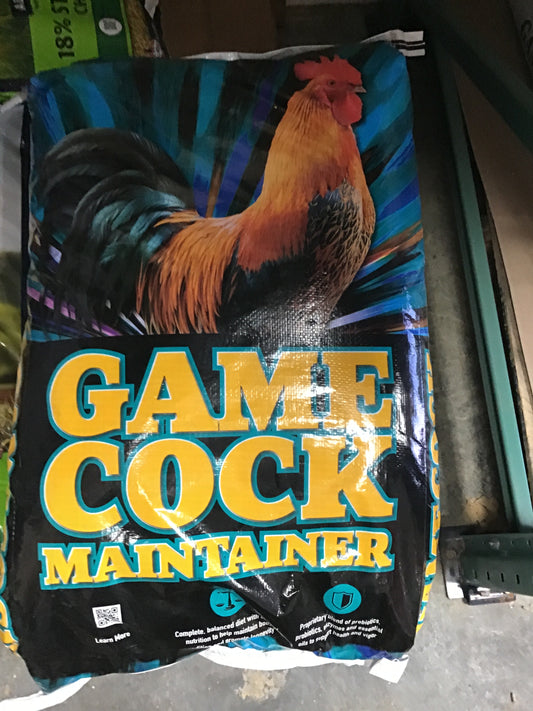 14% GT gamecock maintenance