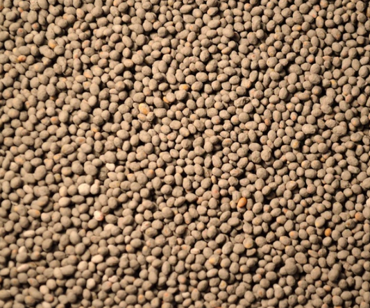 Frosty Berseem Clover (winter forage)- 50#
