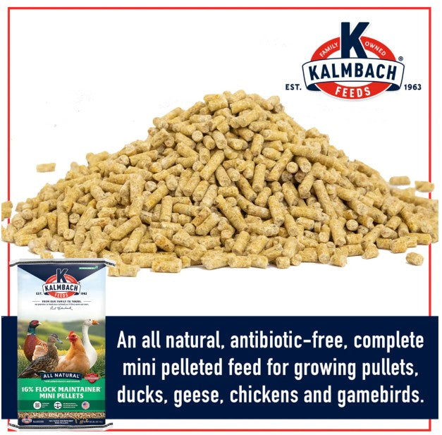 Kalmbach 16% Flock maintainer - poultry feed