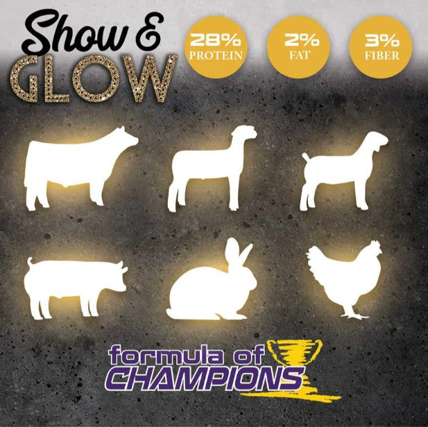 Formula of Champions Show & Glow