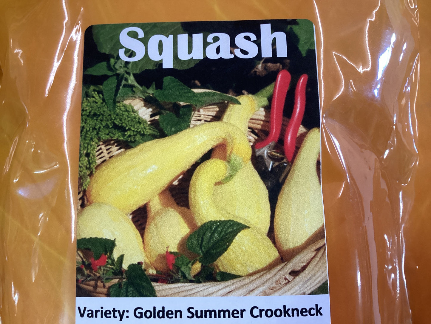 Golden Summer Crookneck Squash 1oz