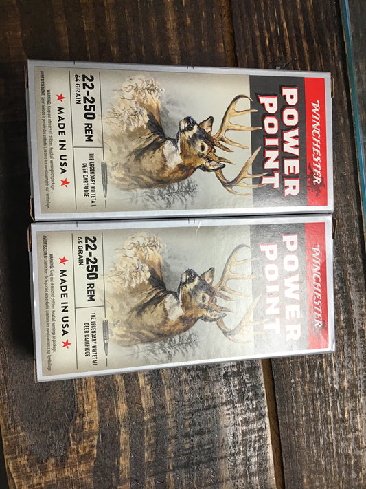 Winchester power point 22-250