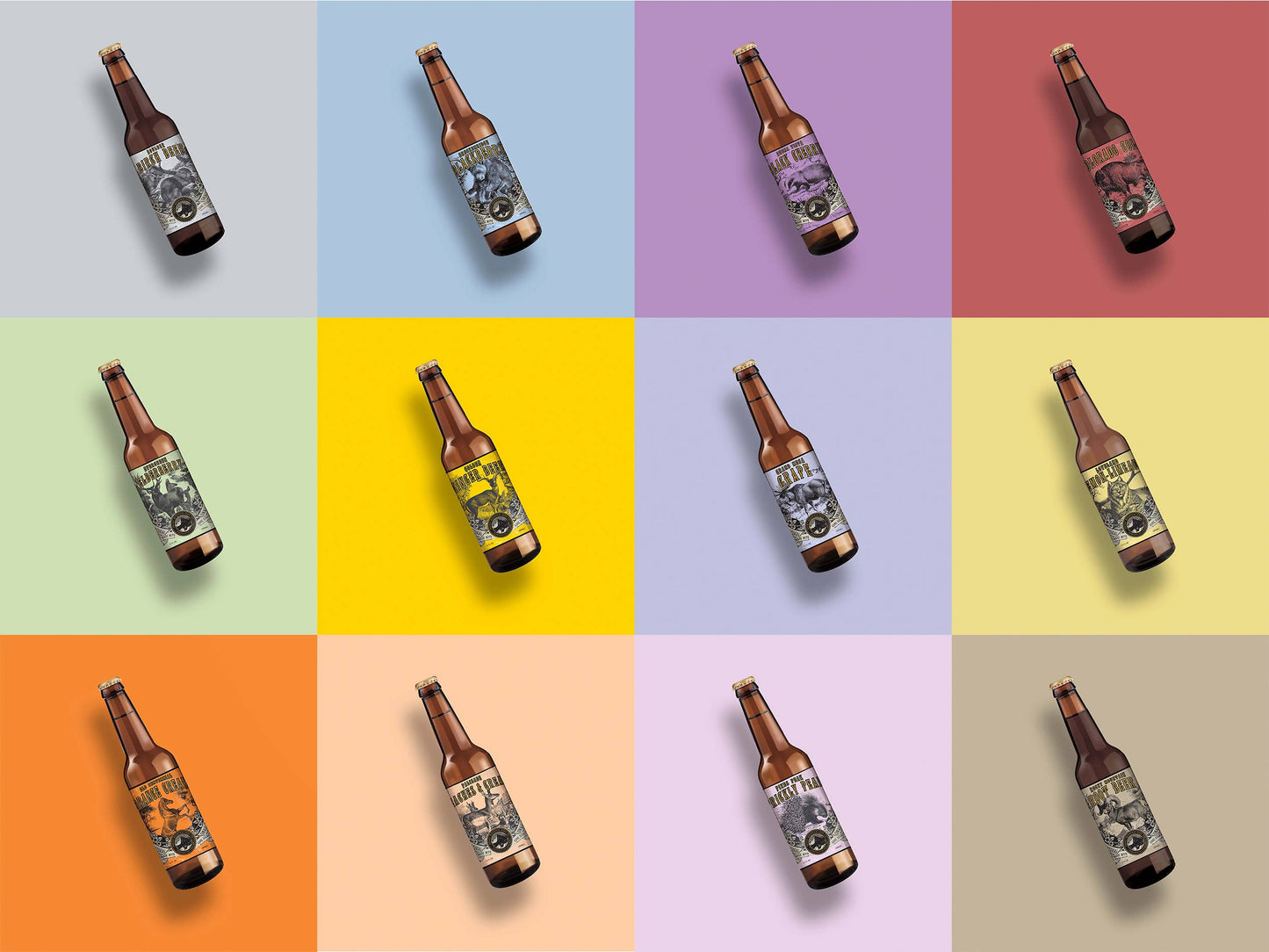 Rocky Mountain Soda Variety Pack Soda Pop