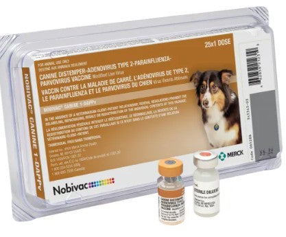 Nobivac Canine 5 way shot