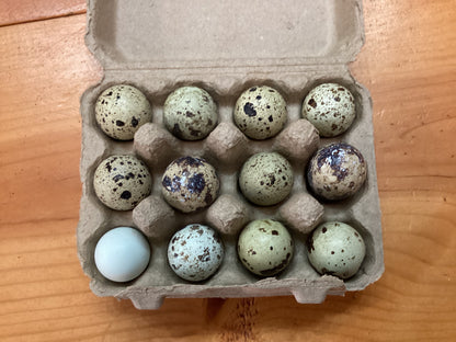 Yaldi Mains Fresh Quail Eggs