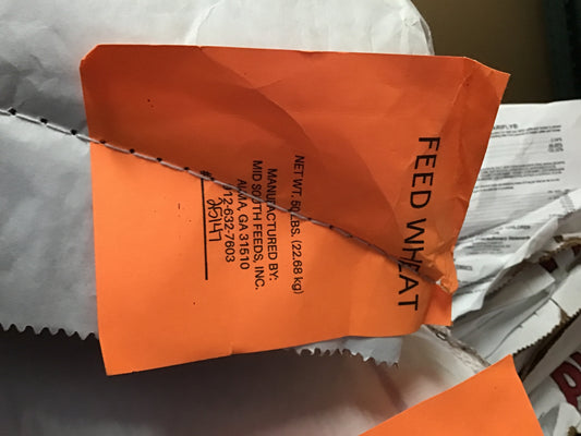 MS Feed Wheat
