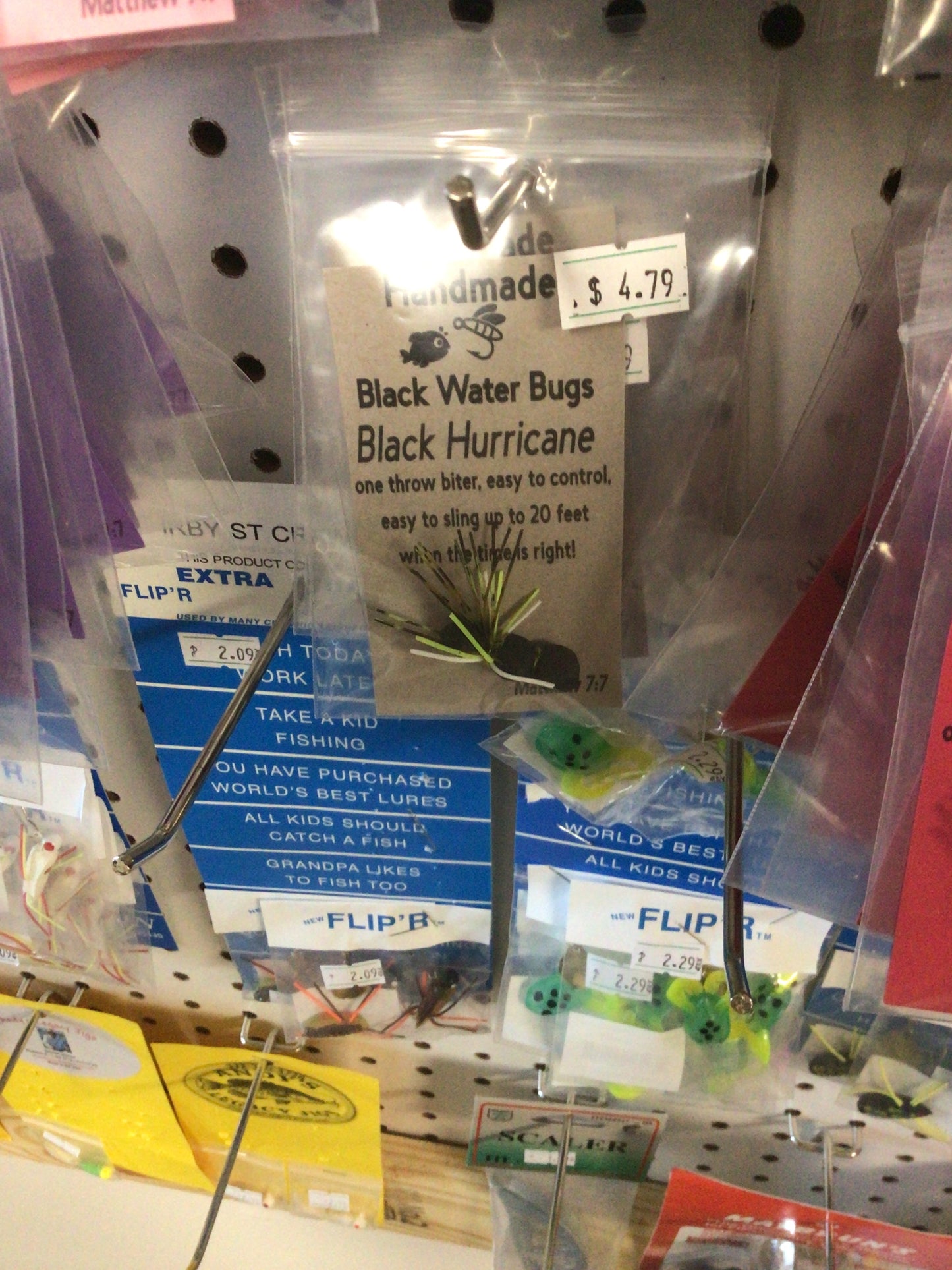 Black Water Bugs