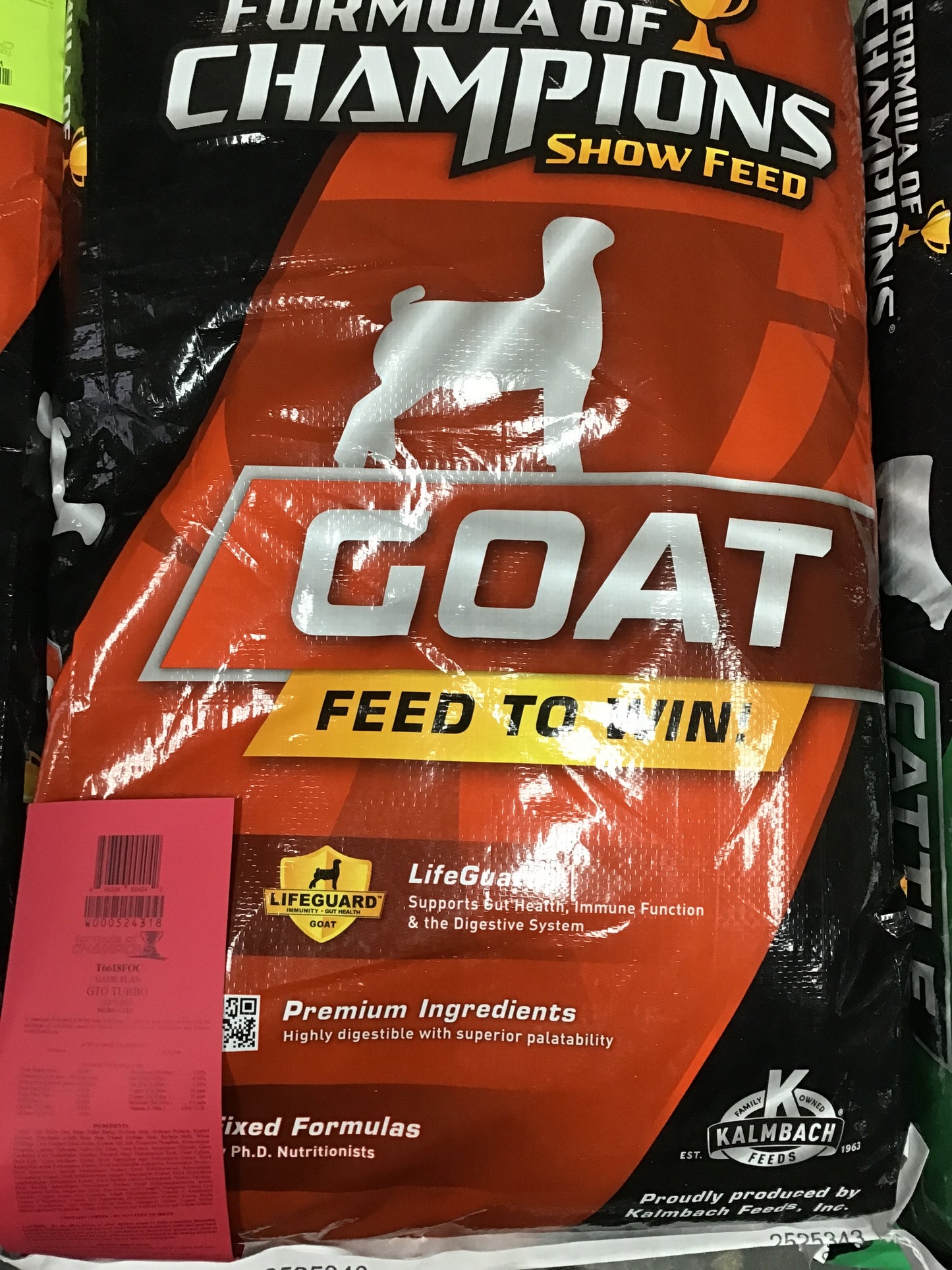 Formula of champions gto turbo