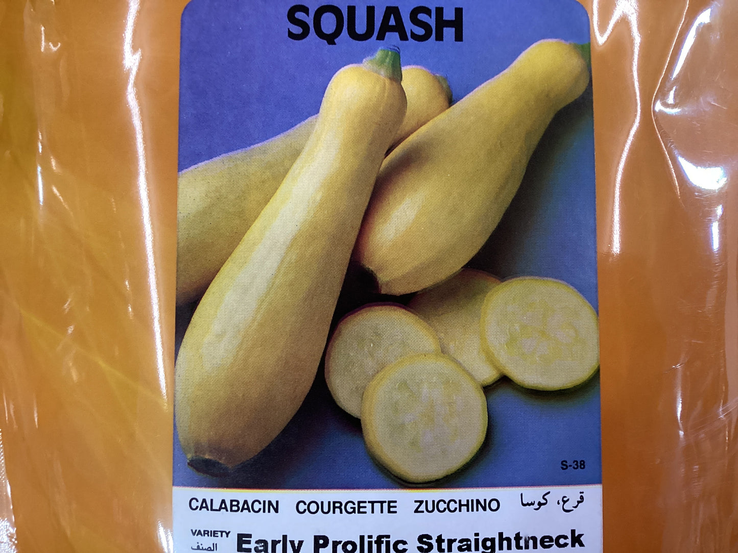 Early Prolific Straightneck Squash 1oz
