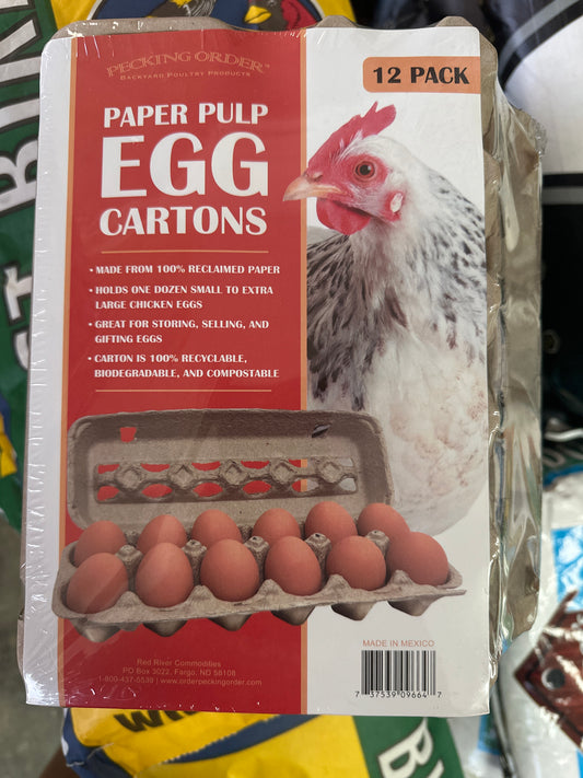 Paper Pulp Egg Carton