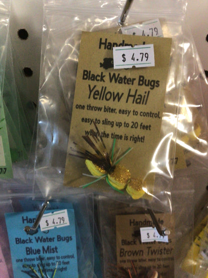 Black Water Bugs