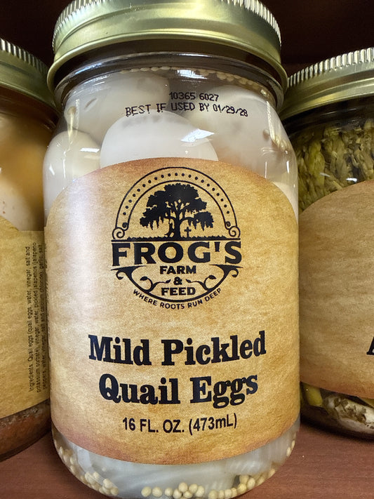 Frog’s Mild Pickled Quail Eggs 16oz