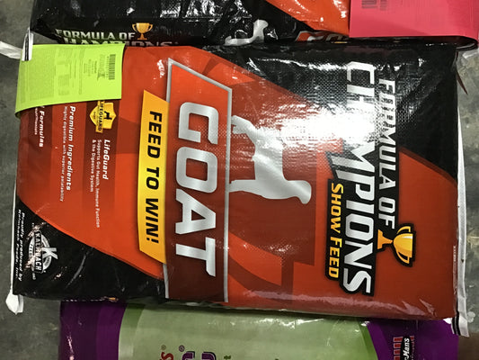 Formula of champions  big league