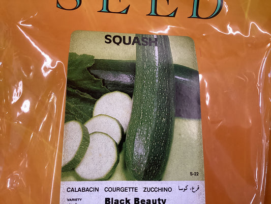 Black Beauty Zucchini 1oz