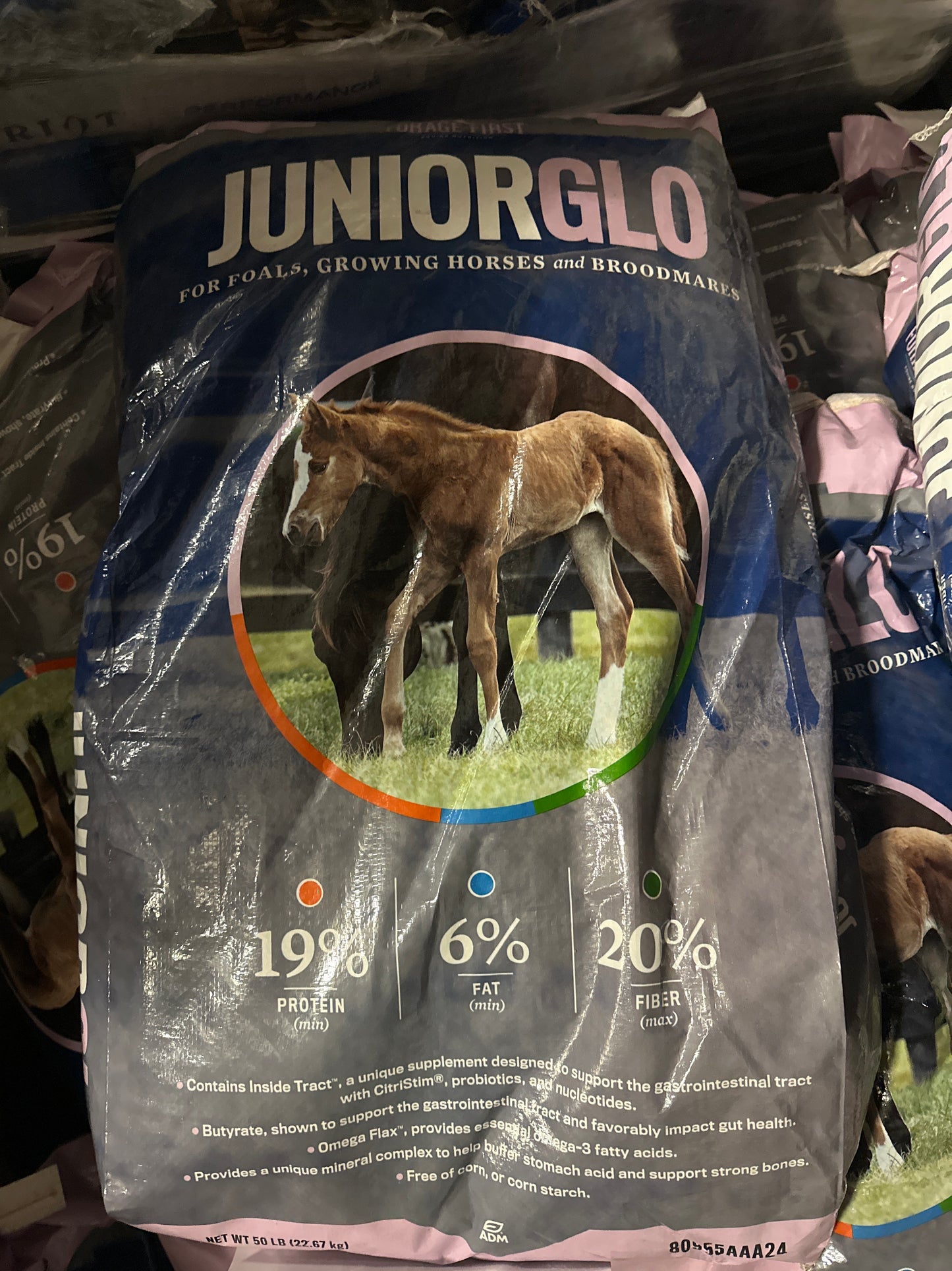 Junior Glo 19%