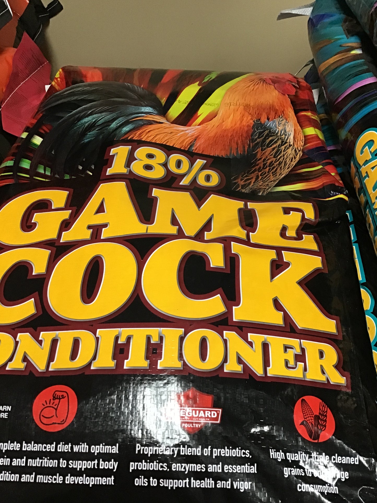 18% Gametime elite gamecock Conditioner
