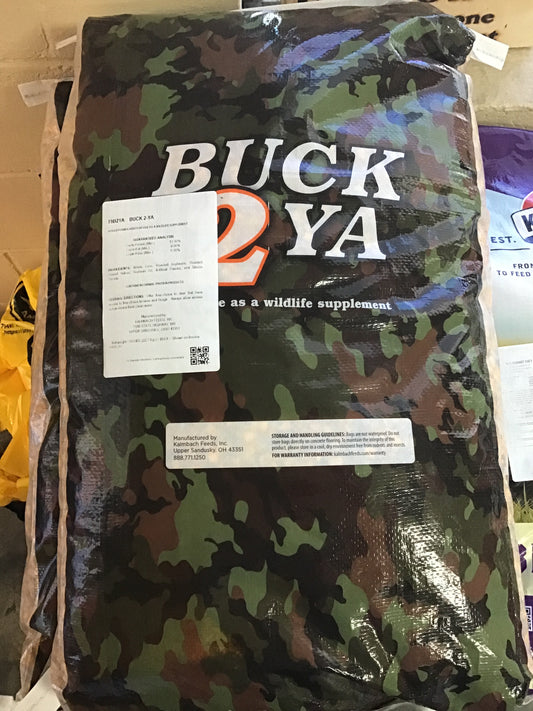 Buck 2-ya deer blind