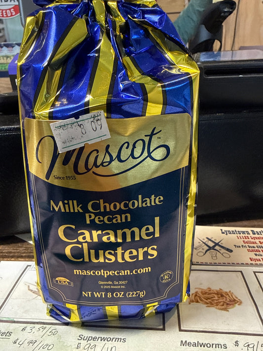 Mascot milk chocolate pecan caramel clusters