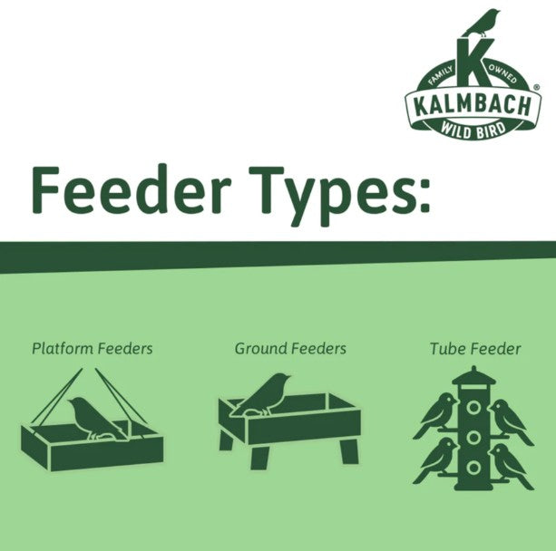 Everyday Essentials™ wild bird feed
