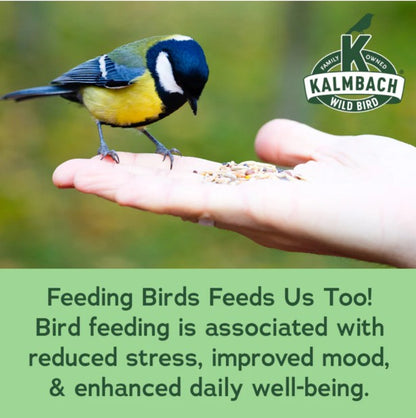 Everyday Essentials™ wild bird feed