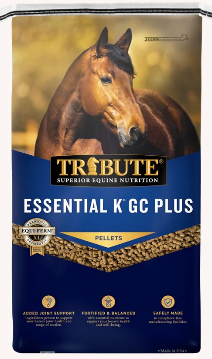 Tribute Essential K - G C Plus