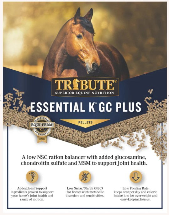 Tribute Essential K - G C Plus