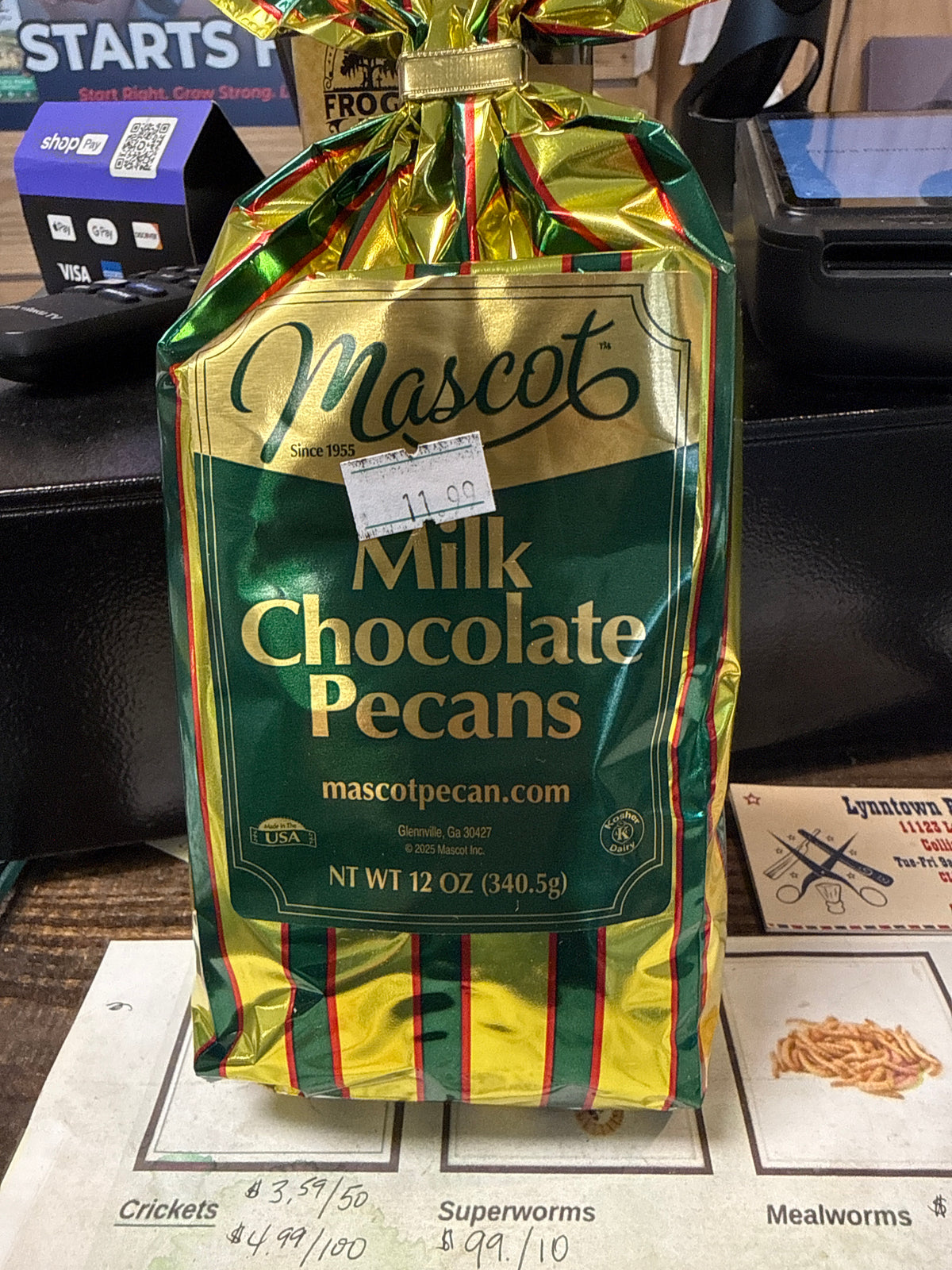 Mascot Milk chocolate pecans