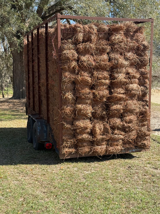 Pine Straw - square bales
