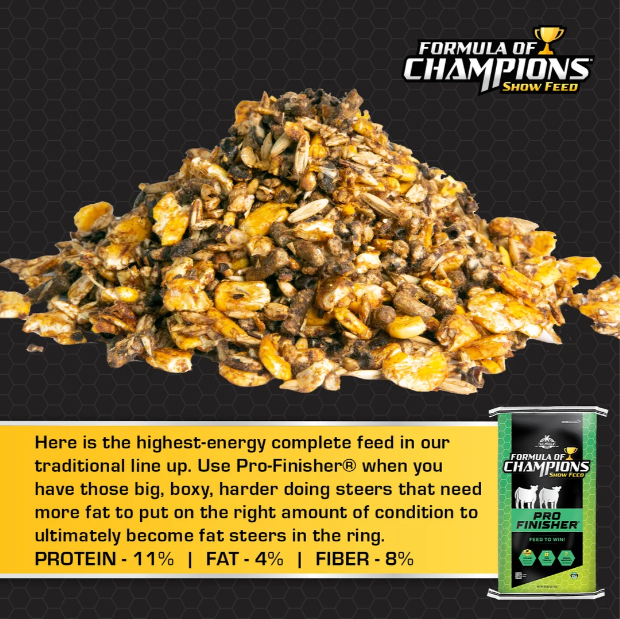 Formula of Champions Pro Finisher show cattle feed