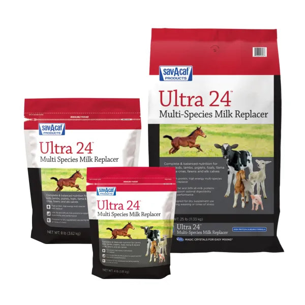 Ultra 24 Milk Replacer- 4 lbs.