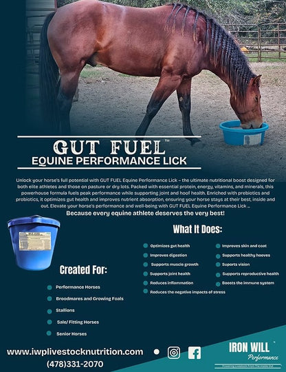 Iron Will Performance Gut Fuel Equine Tubs