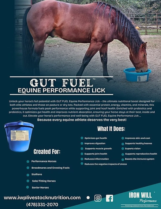 Iron Will Performance Gut Fuel Equine Tubs