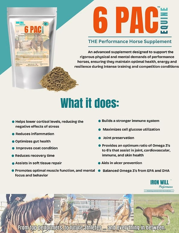 Iron Will Performance 6 pak Equine Supplement