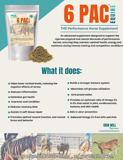 Iron Will Performance 6 pak Equine Supplement