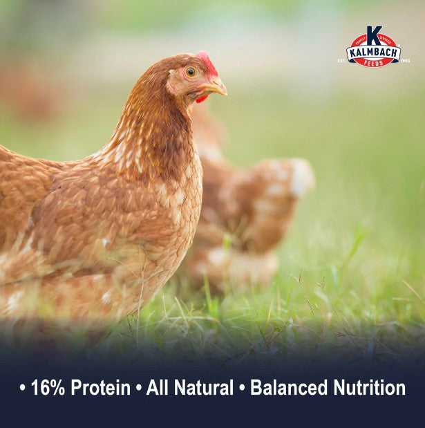 KALMBACH 16% layer mini pellet