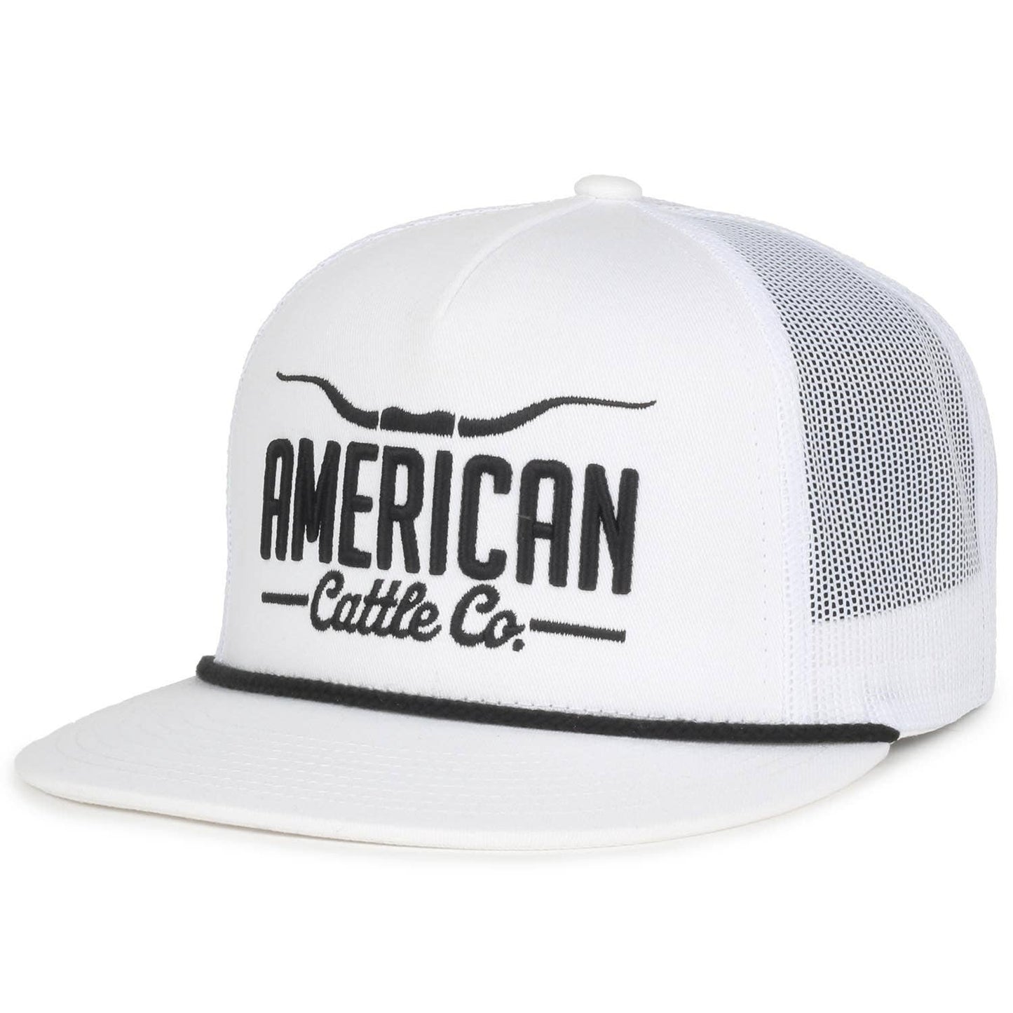 Longhorn Hat