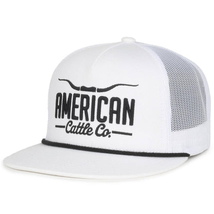 Longhorn Hat