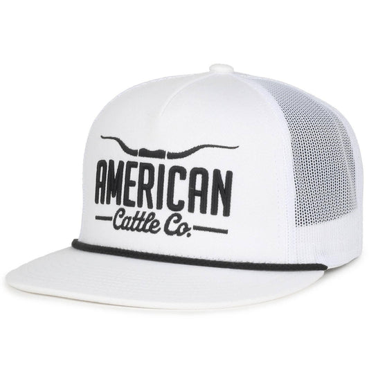 Longhorn Hat